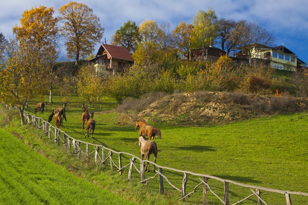 Country House Na Malenom Brijegu Bjelovar Ruang foto