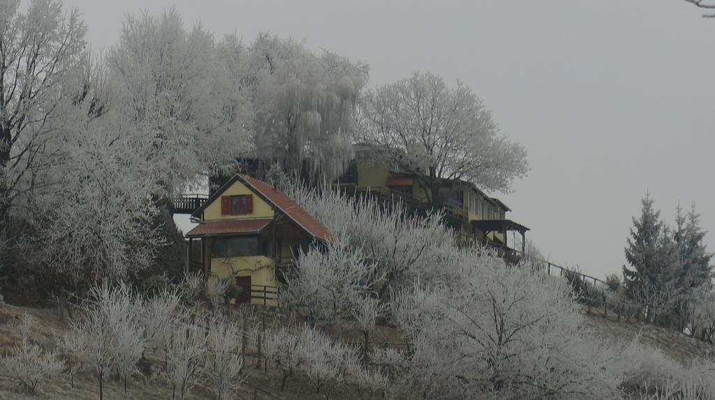 Country House Na Malenom Brijegu Bjelovar Bagian luar foto