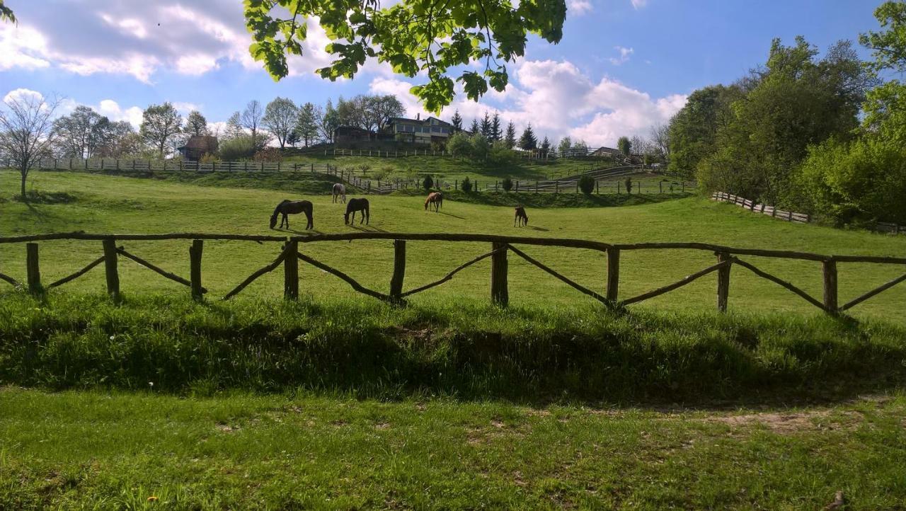 Country House Na Malenom Brijegu Bjelovar Bagian luar foto